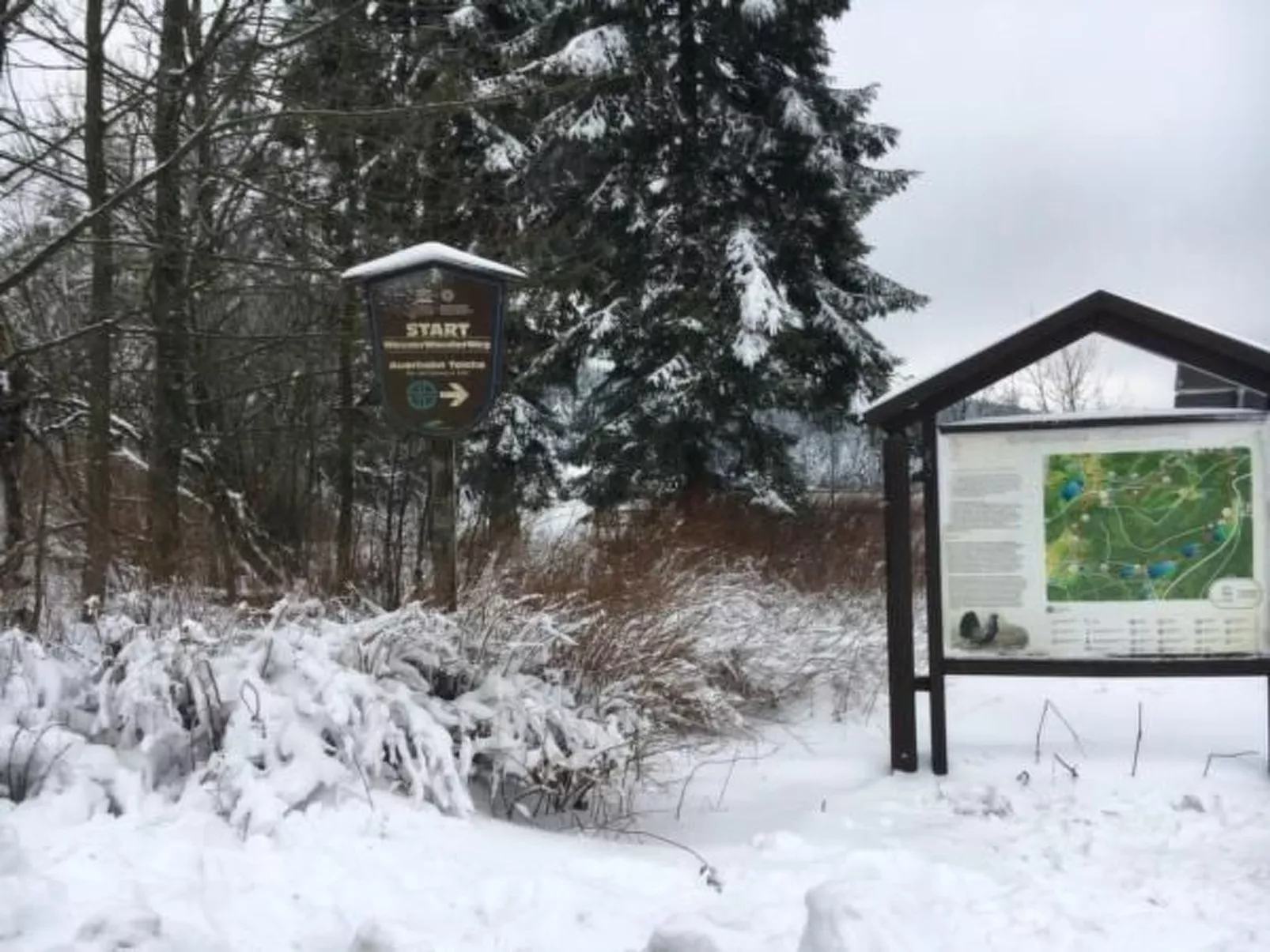 Ferienapartm. Adler-Buiten