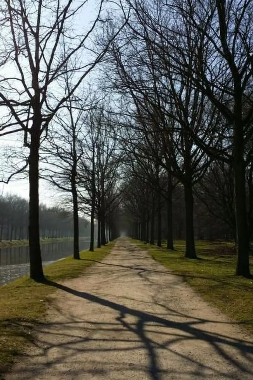 Reitz-Image-tags.info