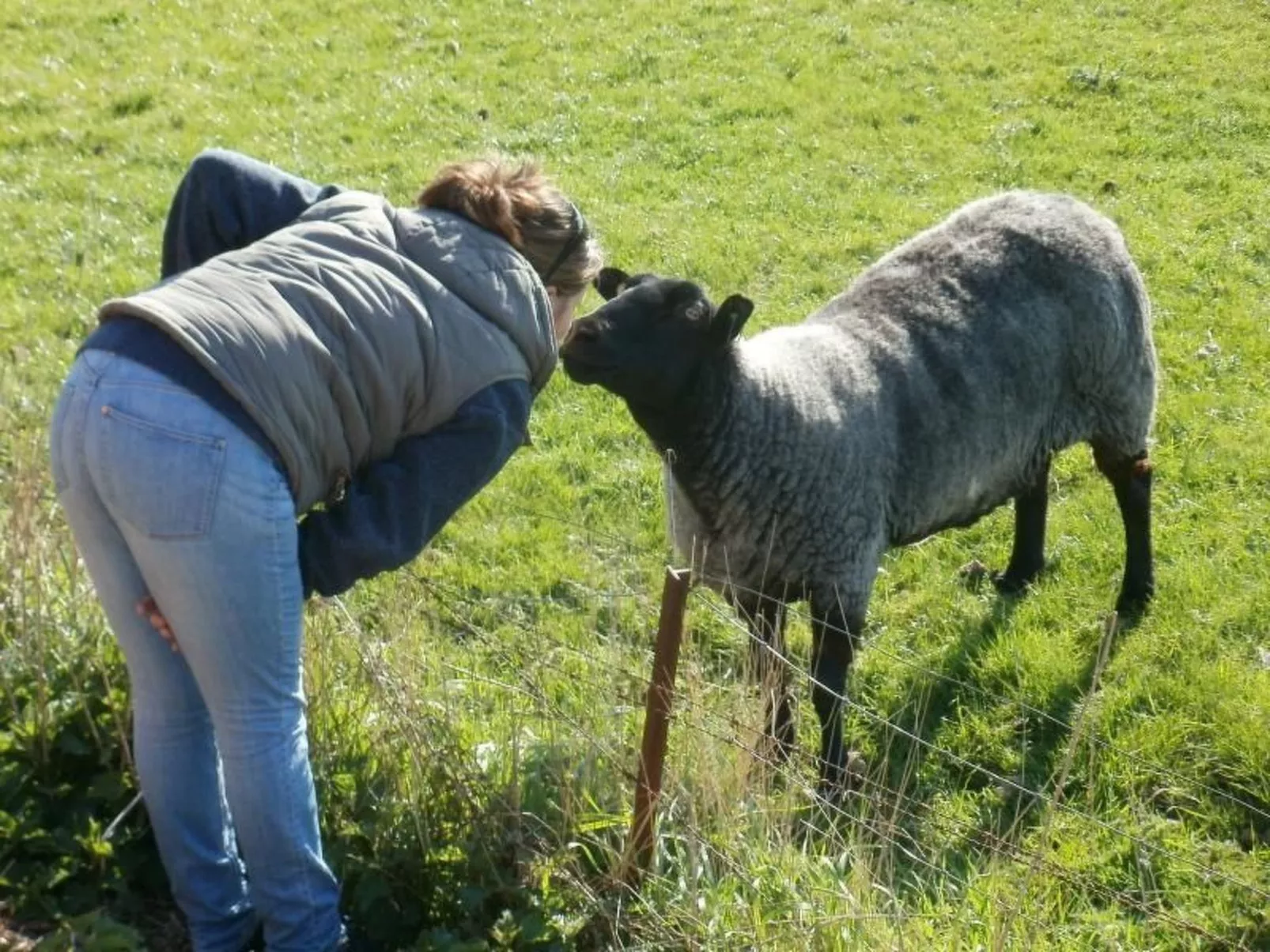 Wiesenblick-Image-tags.info