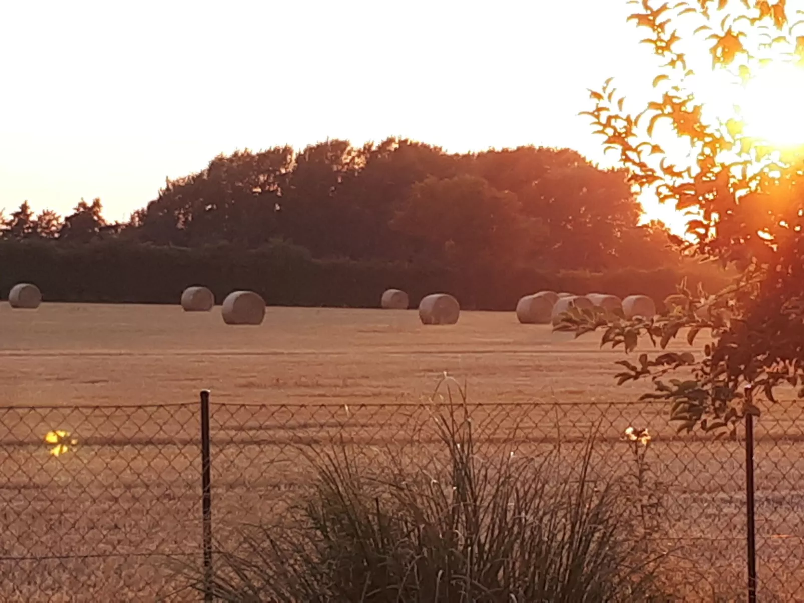 Mit Grill und Garten in Neukirchen-Buiten