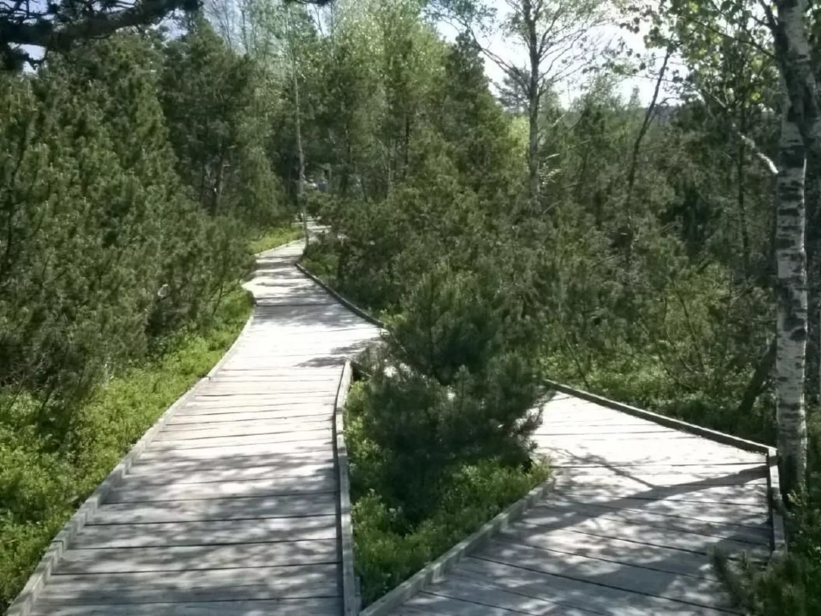 Haus Annemarie-Buiten