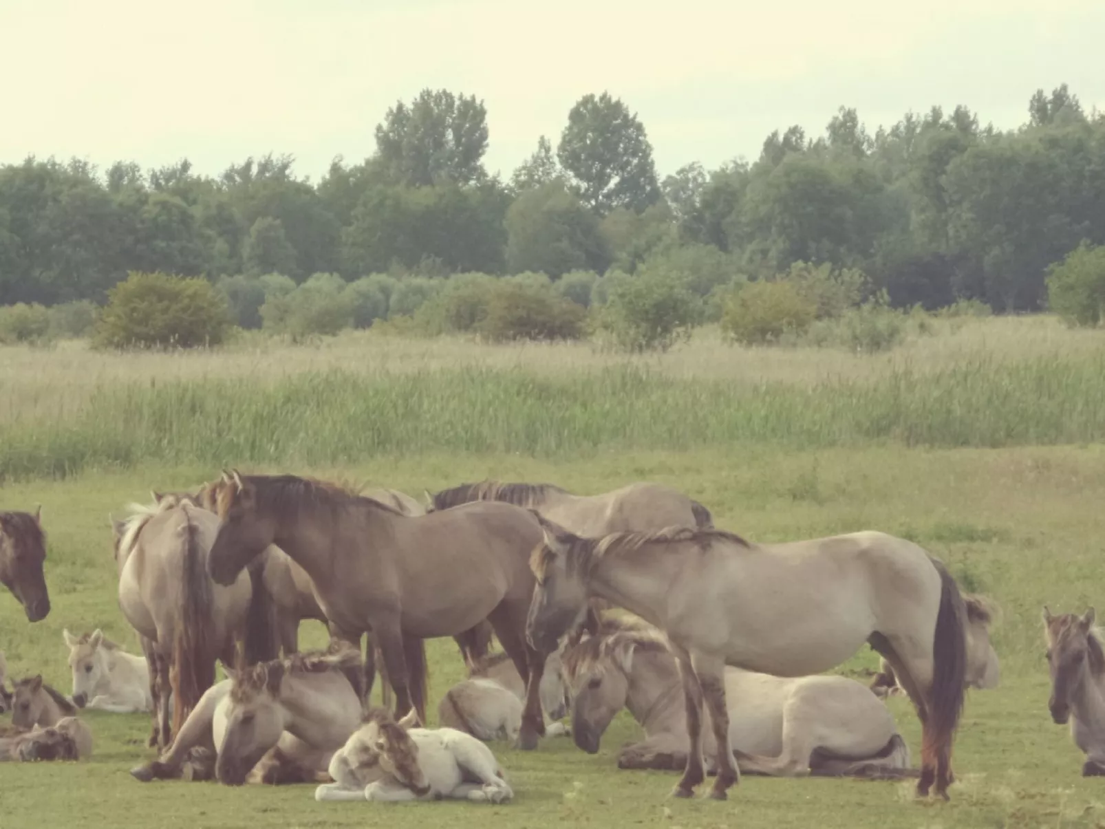177 Sonnenschein-Buiten
