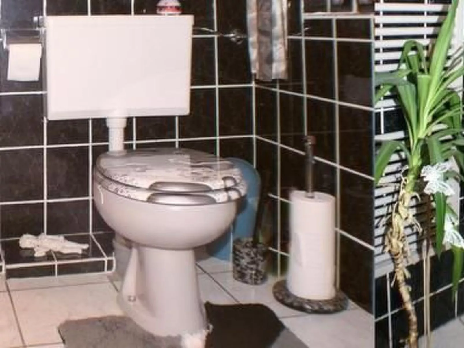 Gemütliche Ferienwohnung im Thüringer Wald-Binnen