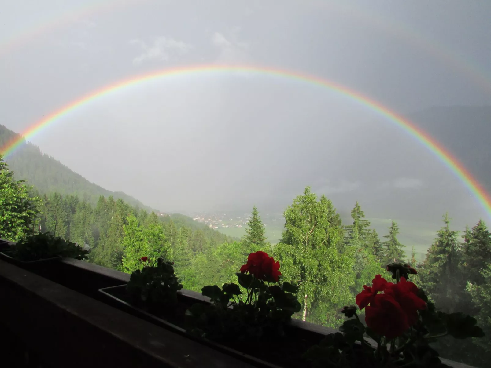 Reißkofel in Steinfeld-Buiten