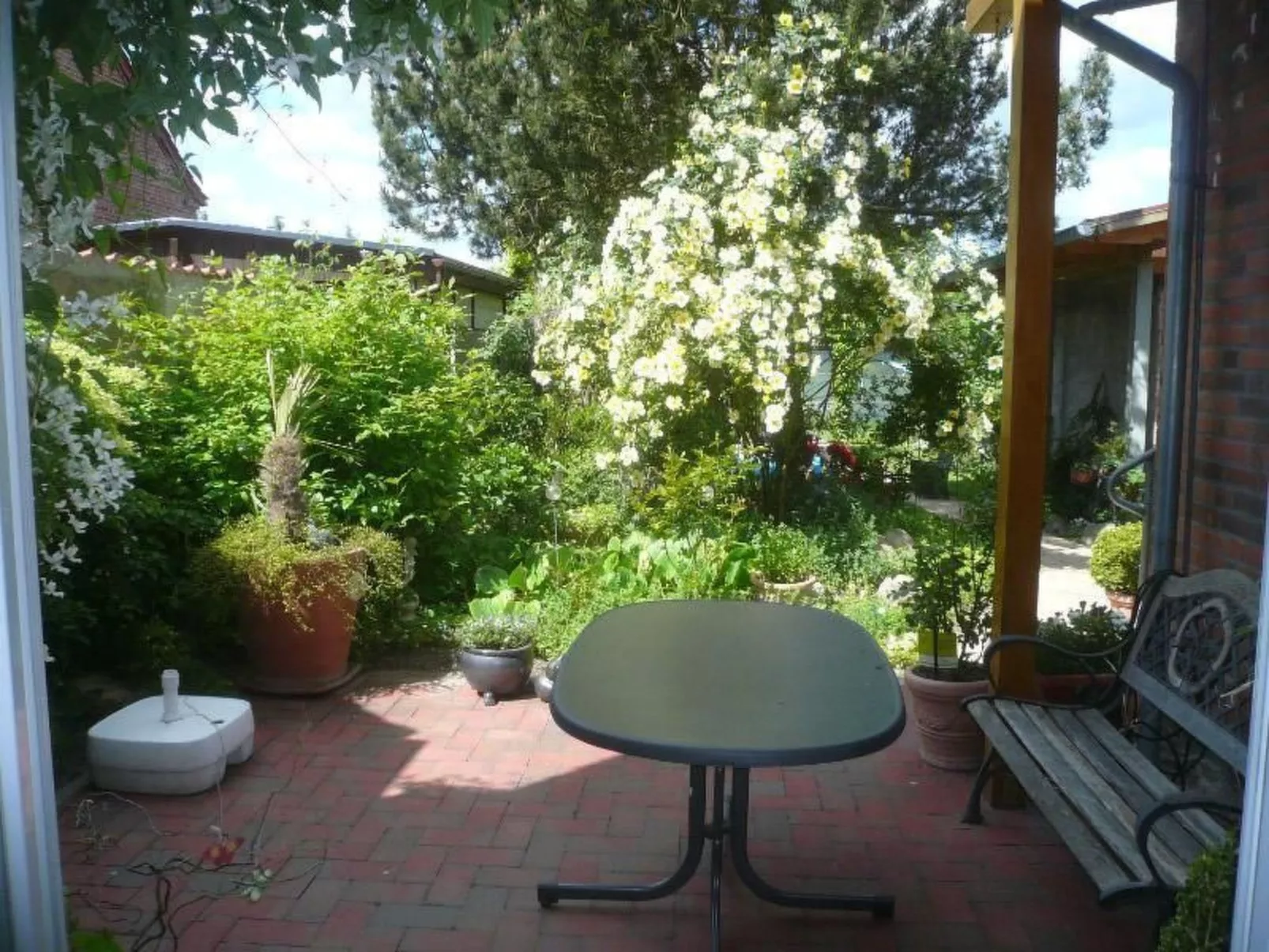 Charmante Wohnung in Dassow mit Terrasse und Gri - Buiten