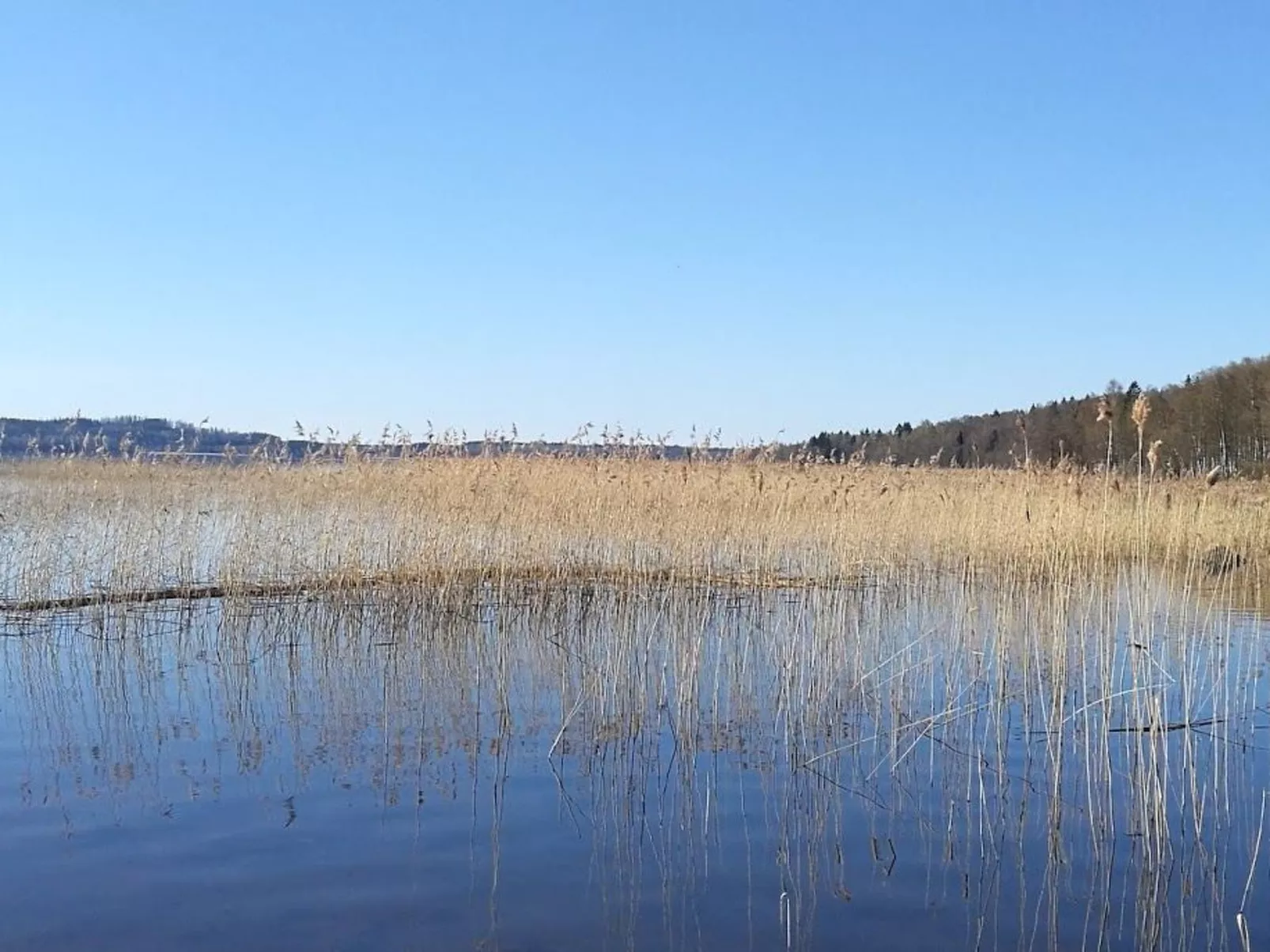 Am See Åsunden mit herrlicher Aussicht-Buiten