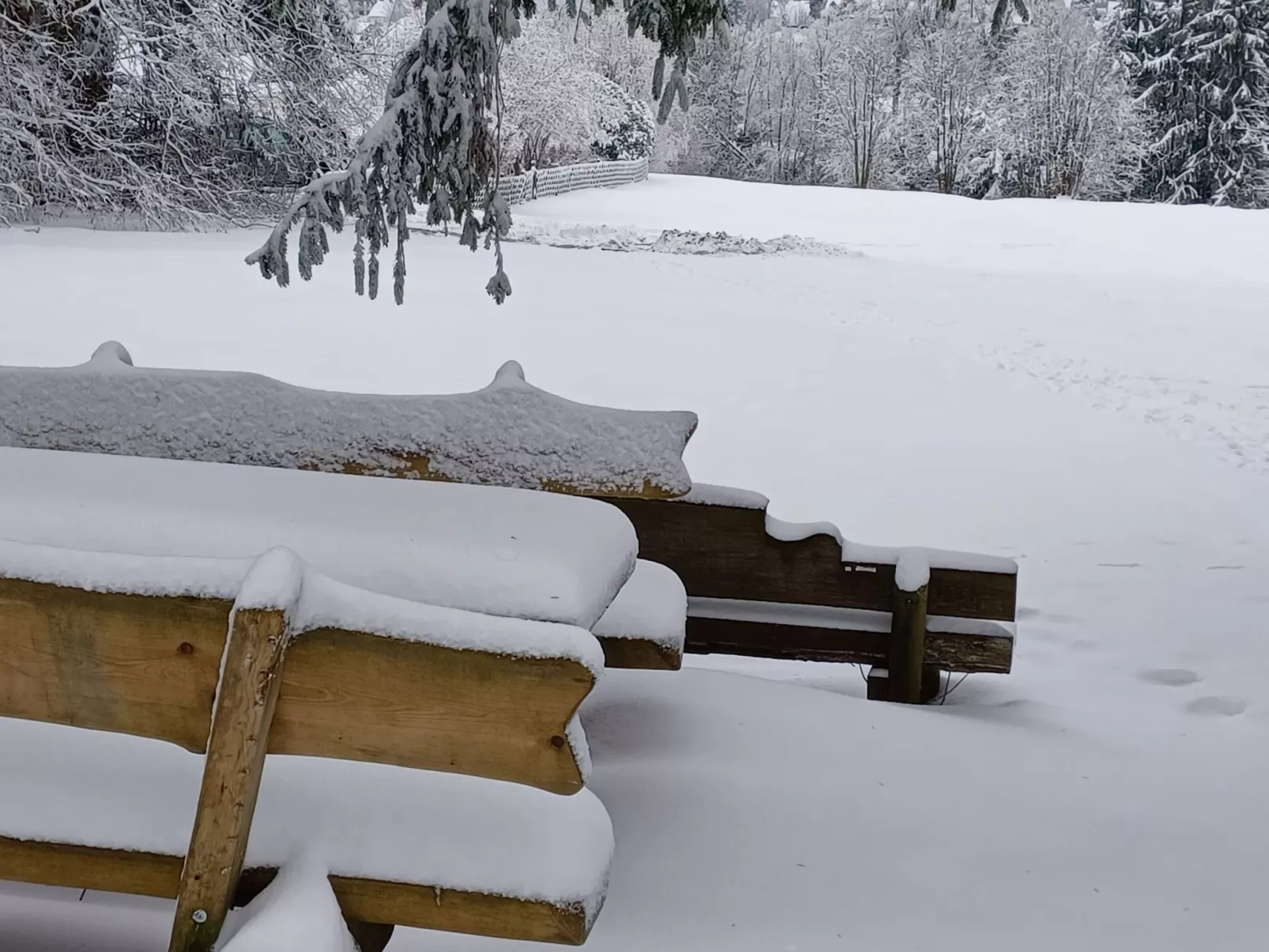 Walli OG Hahnenklee-Buiten