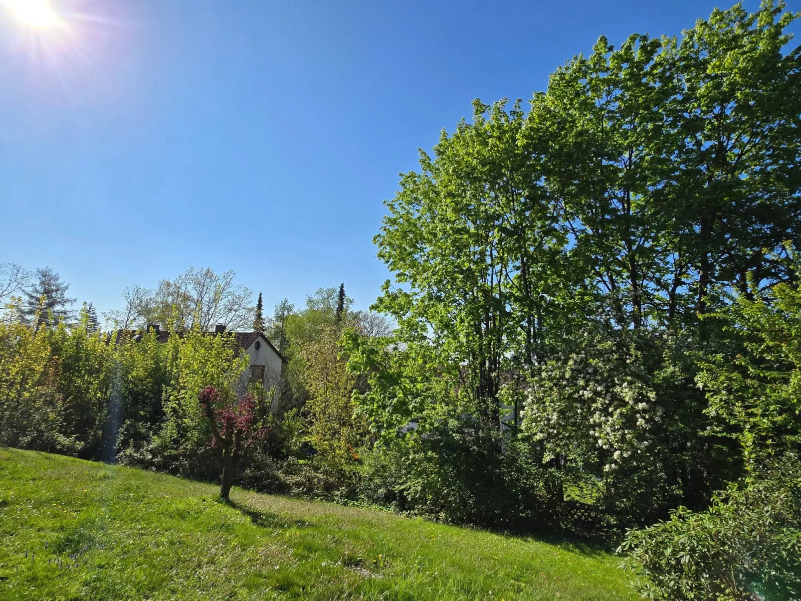 WALDLIEBE ♡-Image-tags.info