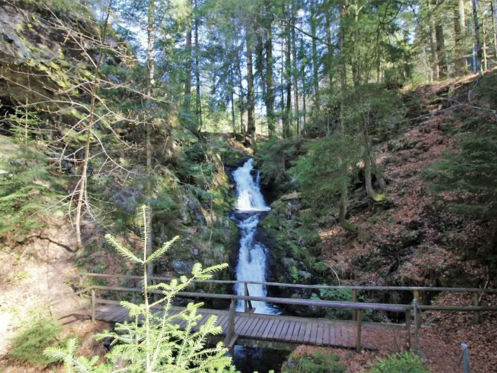 Kuschelnest Oase-Buiten