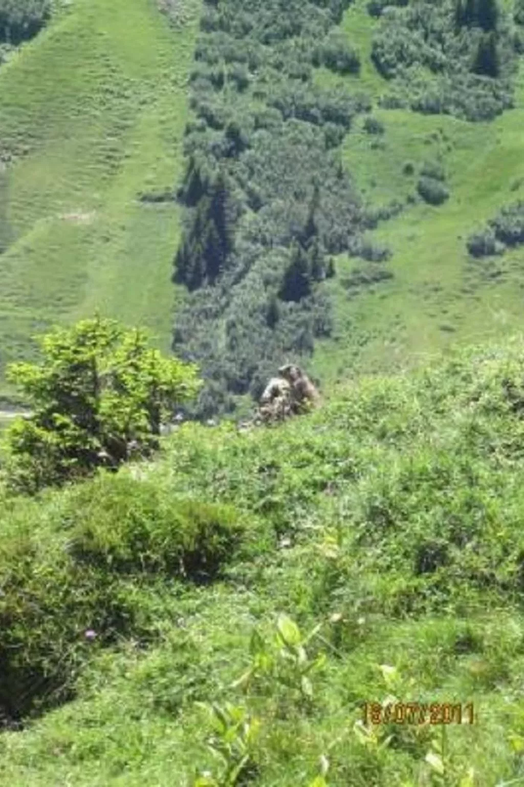 Chalet mit Bergblick-Image-tags.info