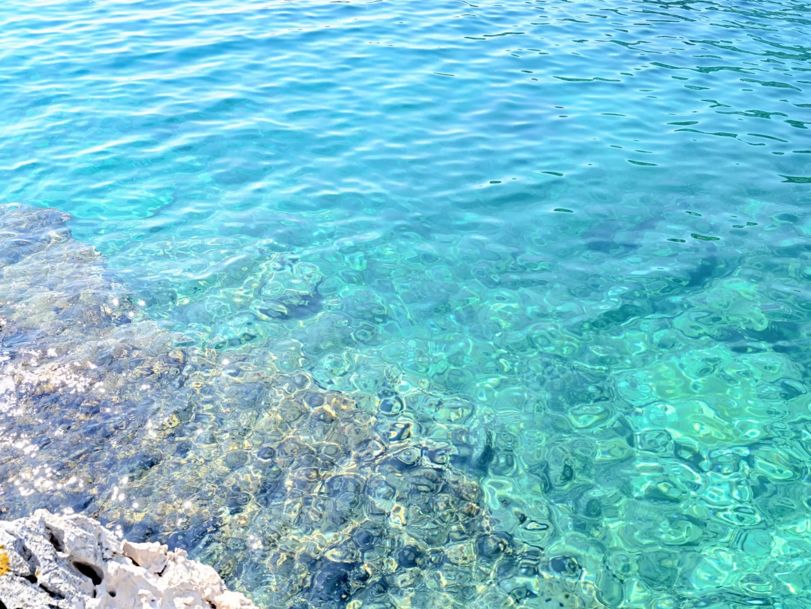 Villa Luger EG-Buiten