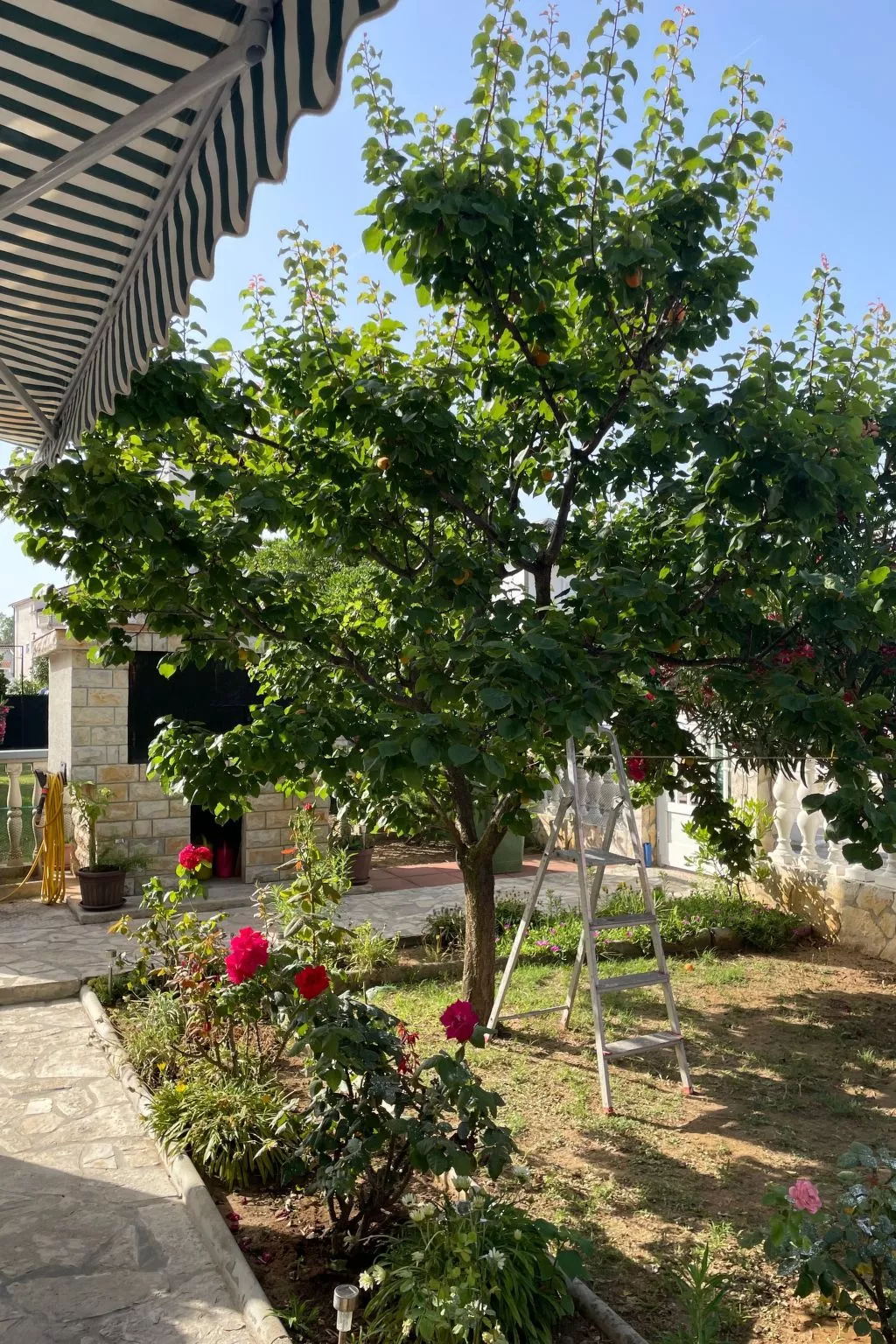 Wohnungen Nada in Sabunike - von TA Leut Agency-Buiten