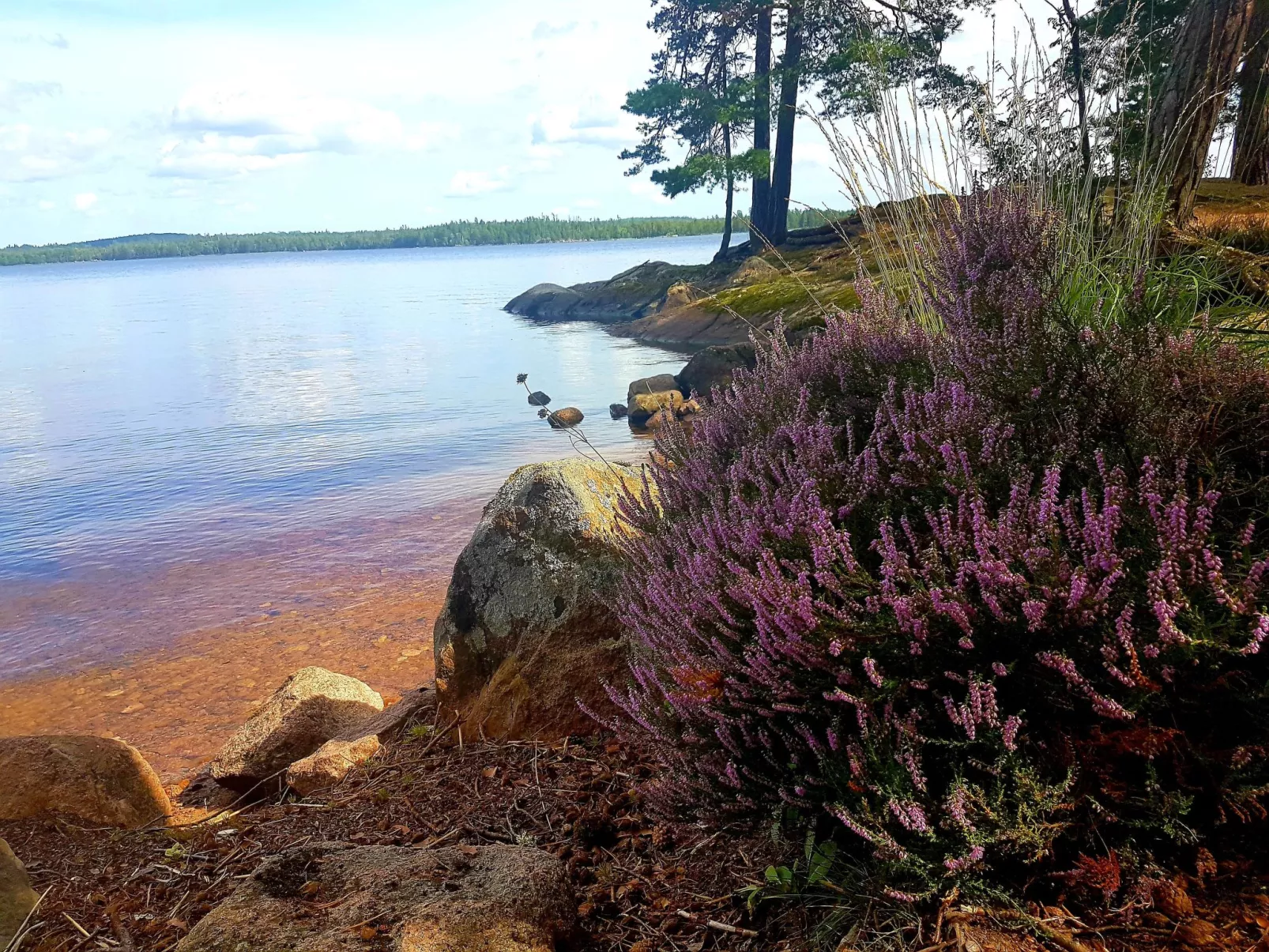 Villa Bullerbü-Buiten