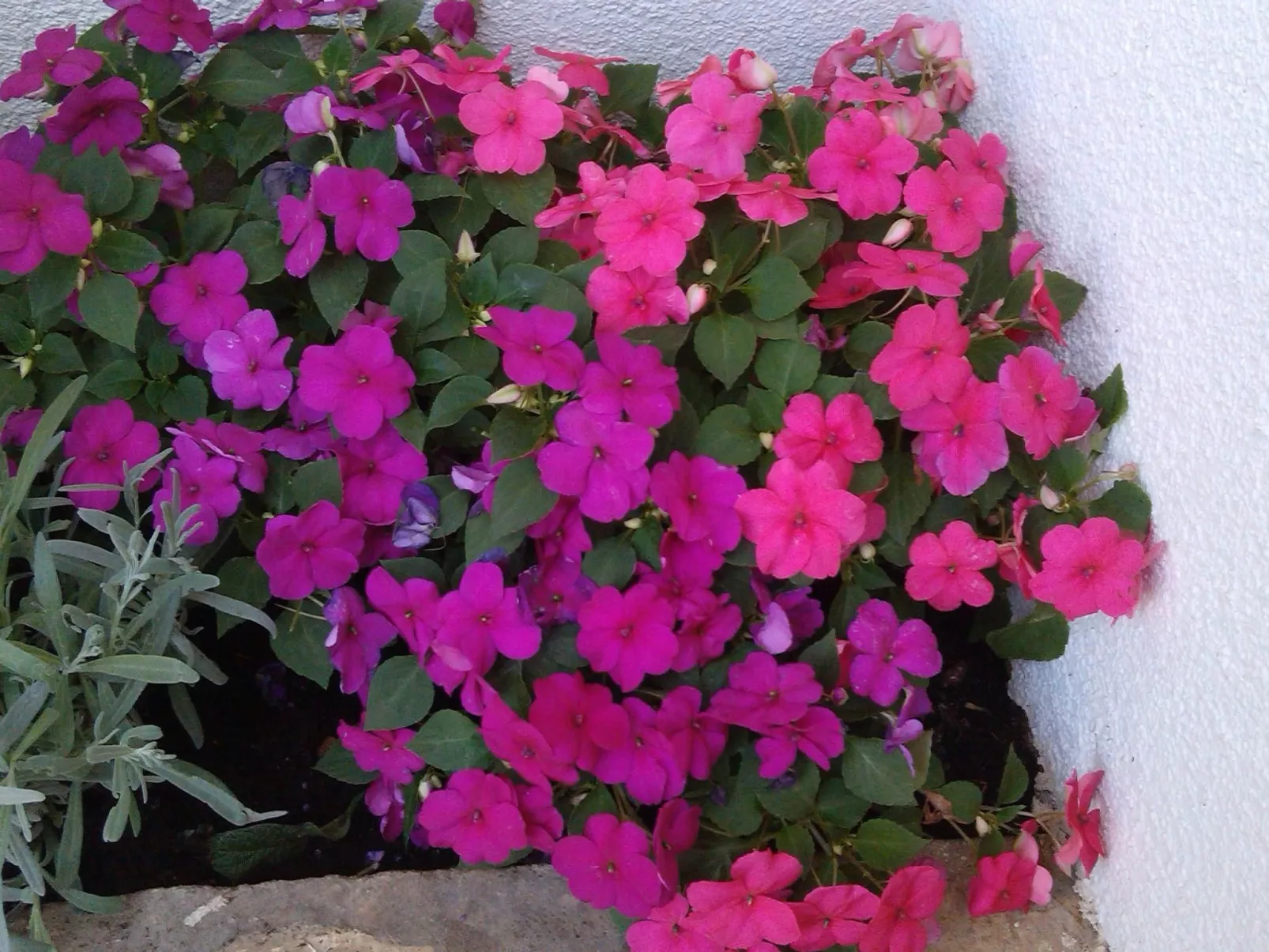 Traumhafte Villa Punta Skala mit 2 Terrassen-Buiten