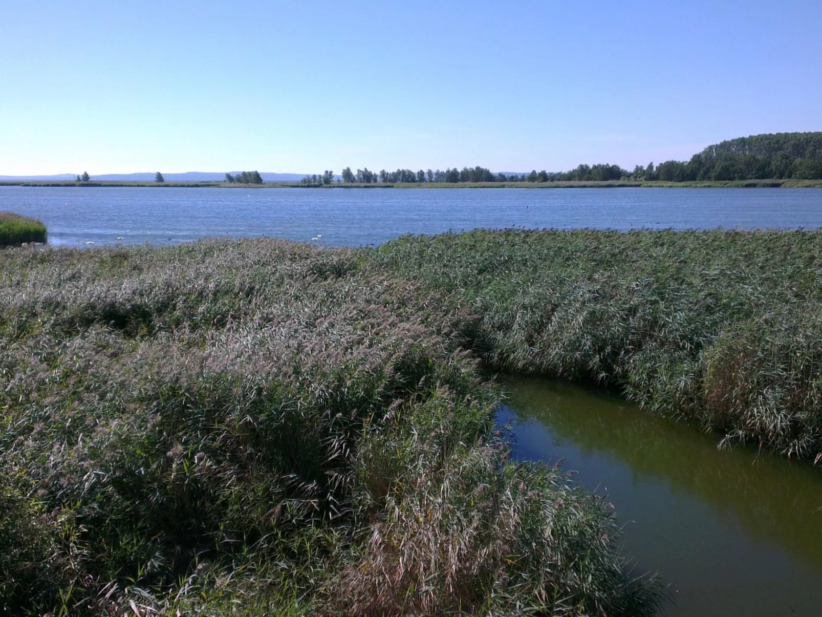 Munky-Image-tags.info