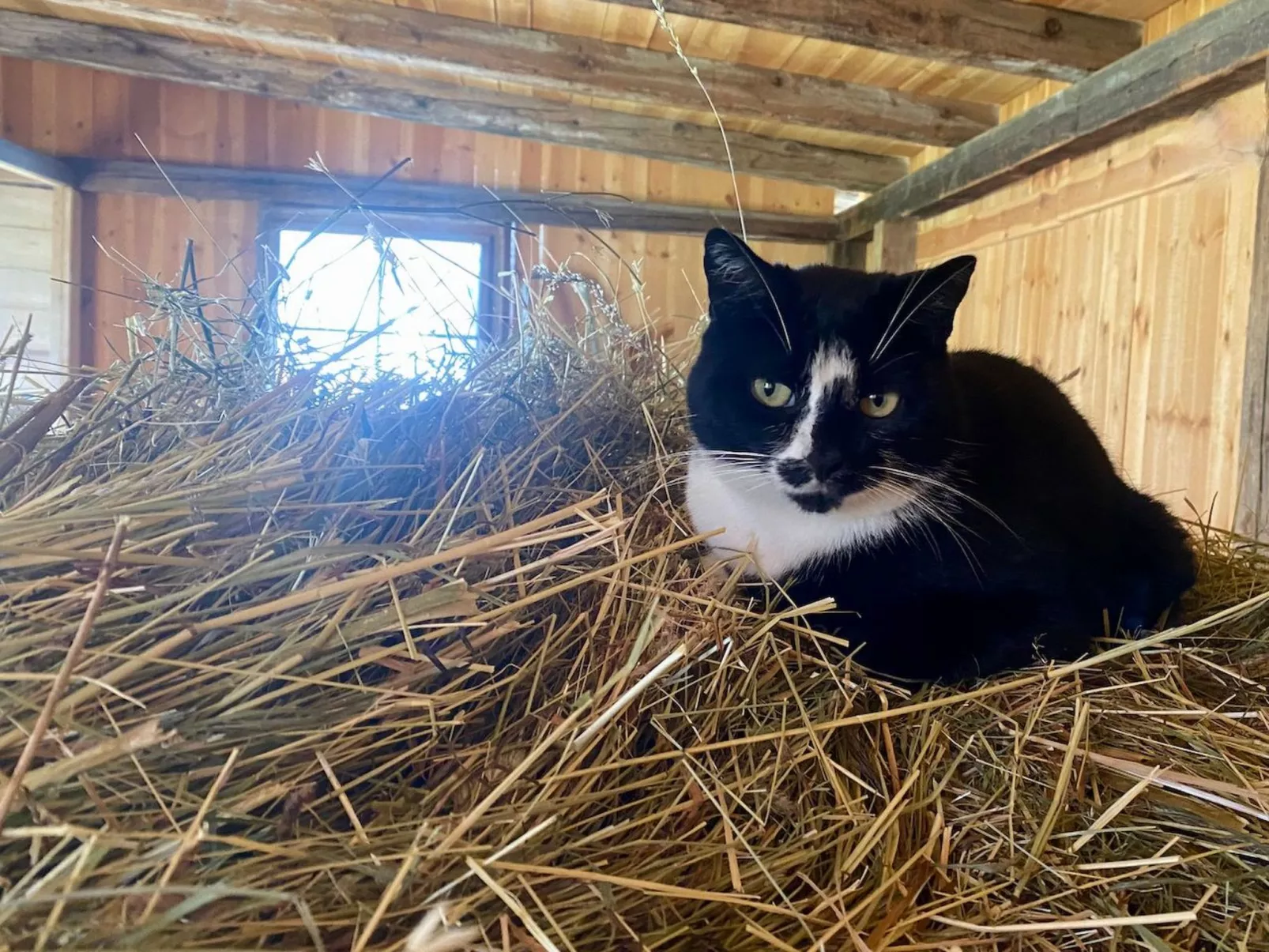 Tirol in Umhausen-Image-tags.info