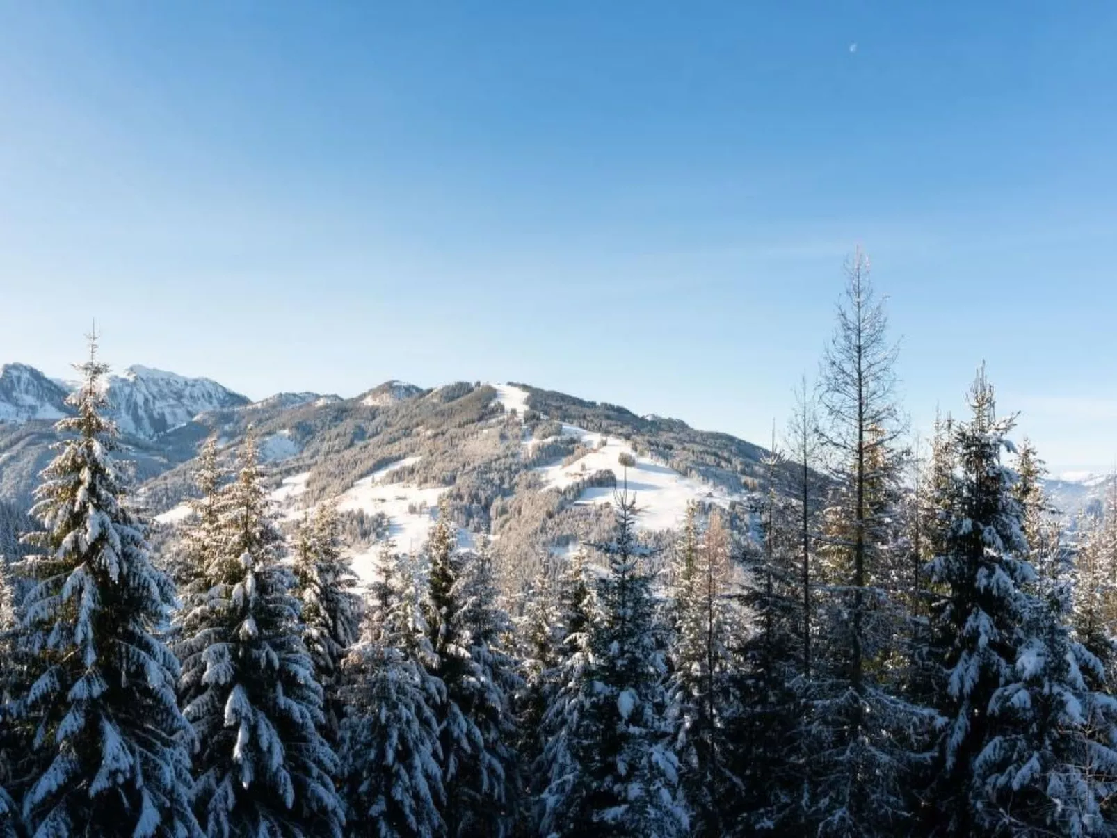 Designferienhaus XXL-Buiten