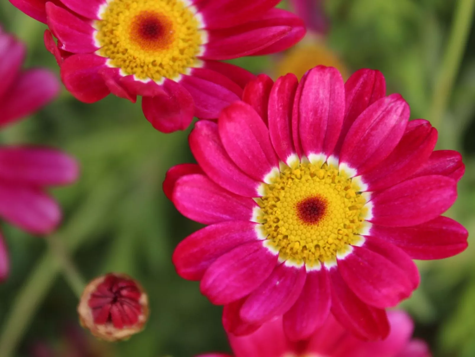 Beheiztes Schwimmbad, Familienferienwohnung-Image-tags.info