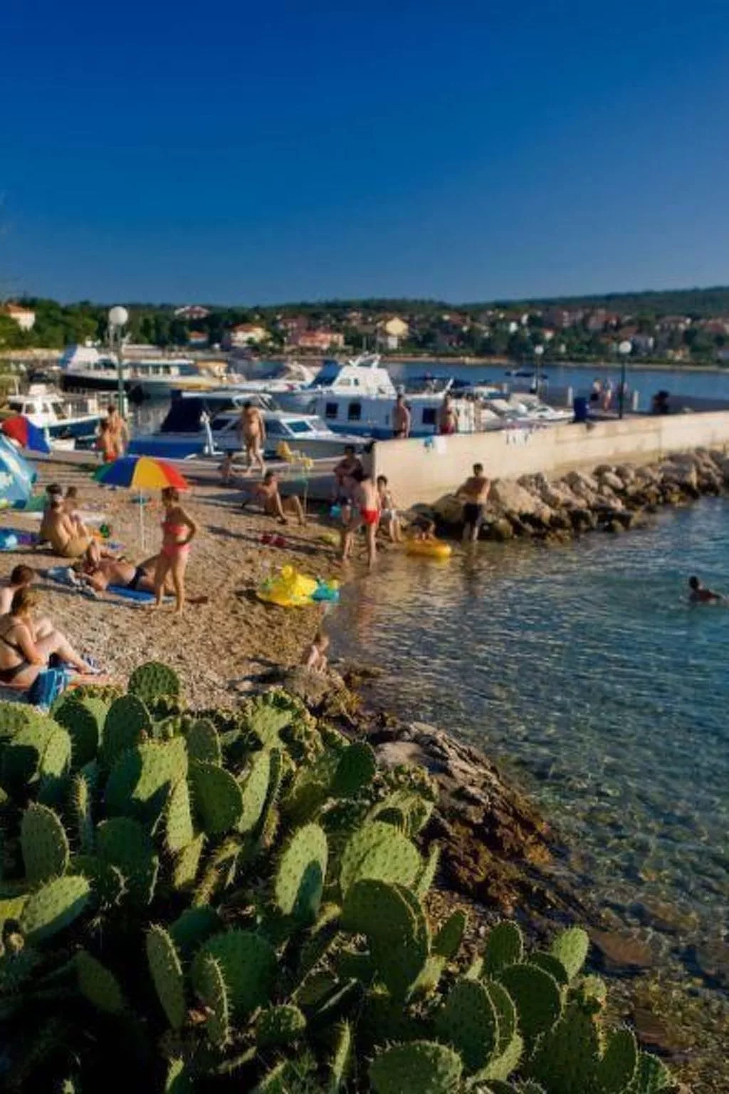 Zwei-Zimmer-Wohnung Radosav