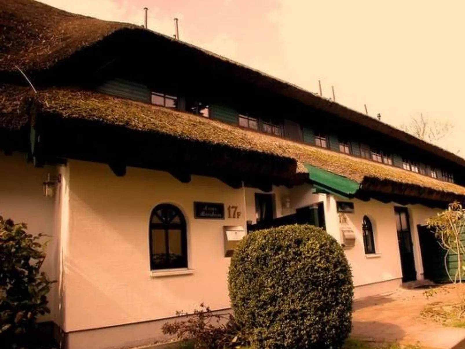 Haus Strandflieder-Buiten