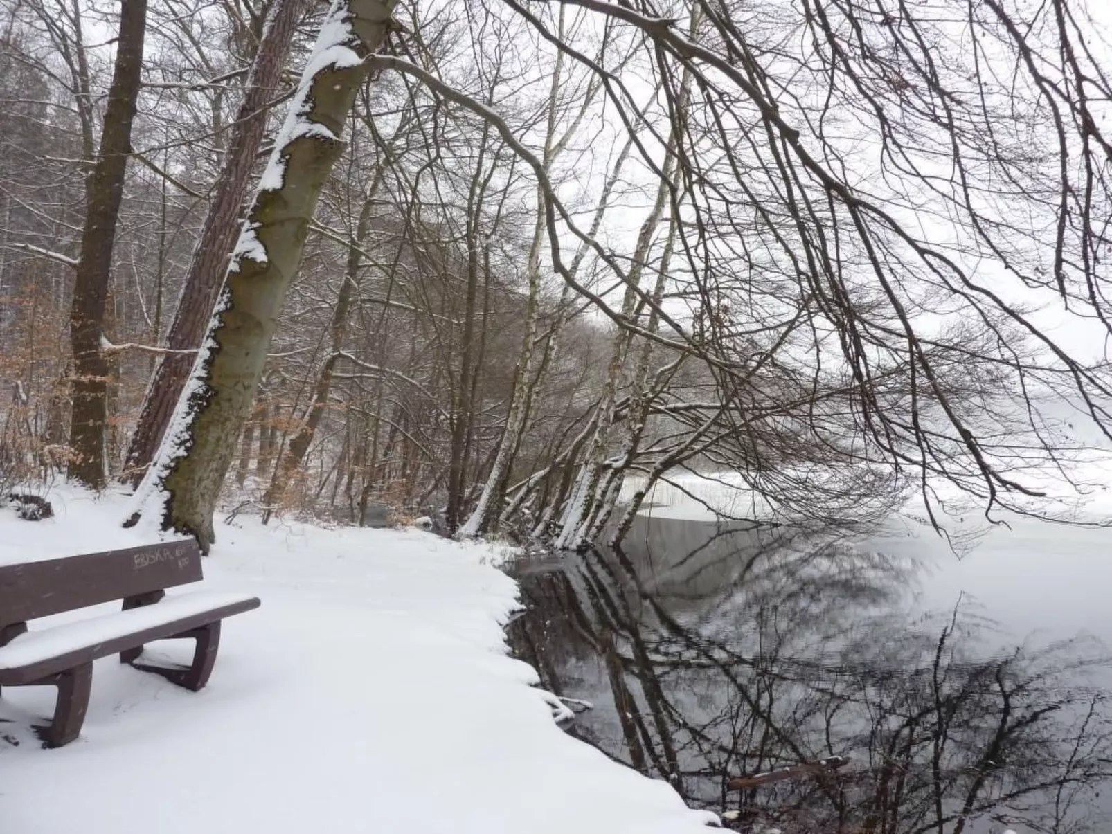 FH an Seen und Meer-Image-tags.info