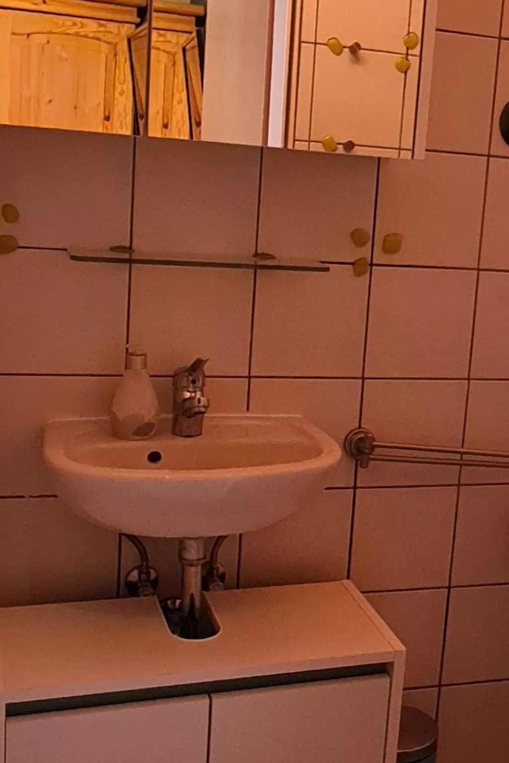 Waldhäuschen Zandt-Binnen