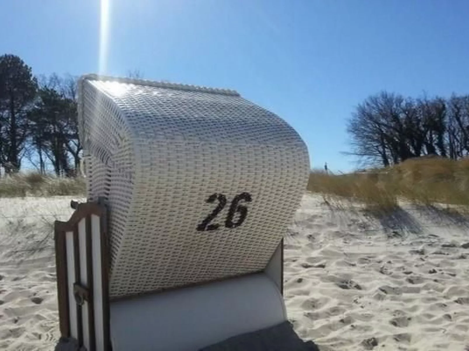 Familiäres, charmantes Appartement in Zingst-Buiten