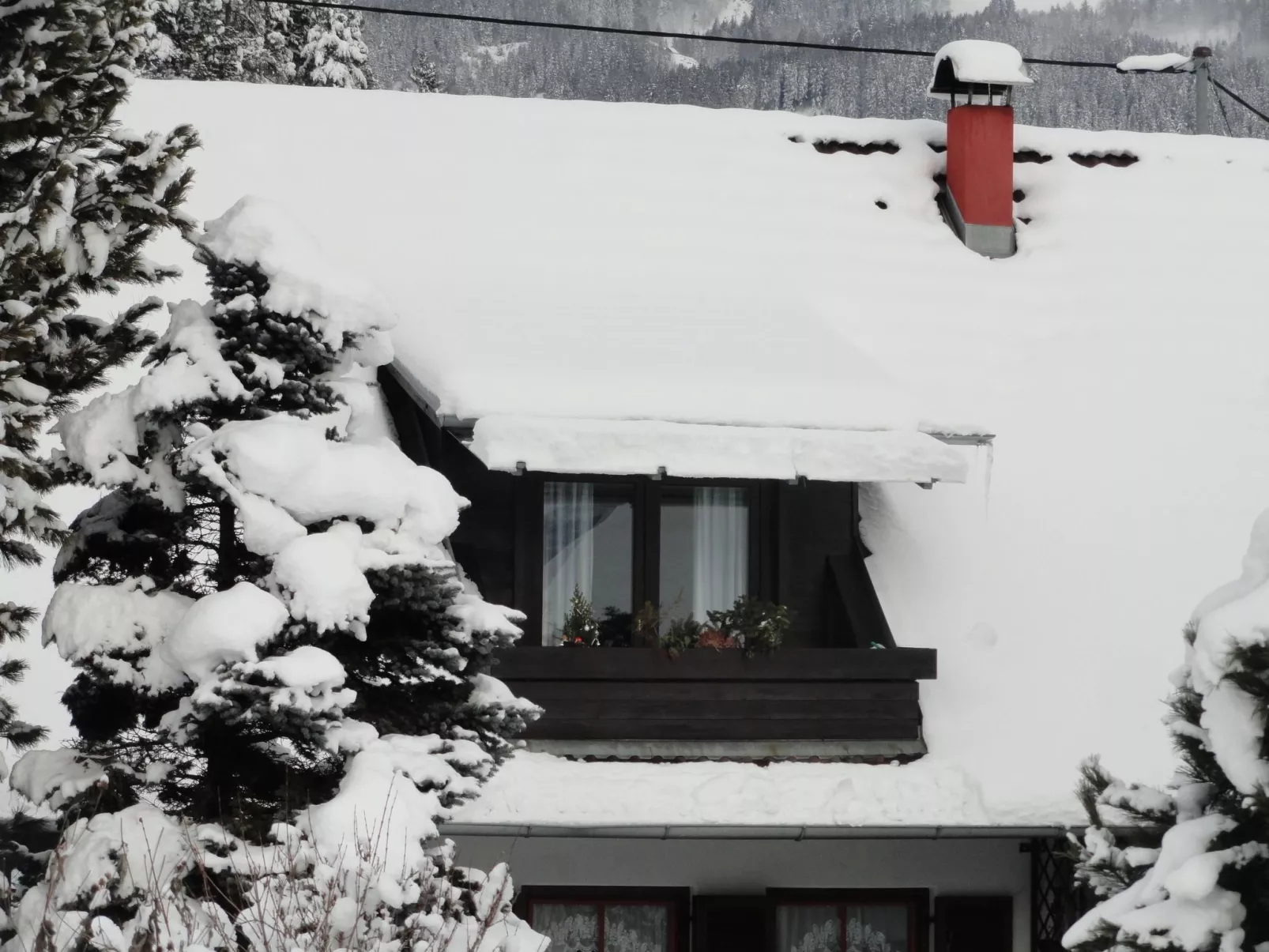Kleine Wohnung in Seeboden mit Großem Garten - Buiten