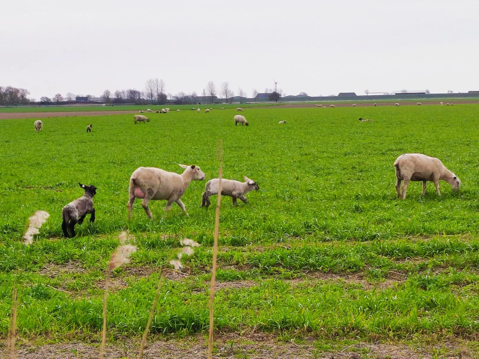 Ankerplatz 54 Grad-Buiten