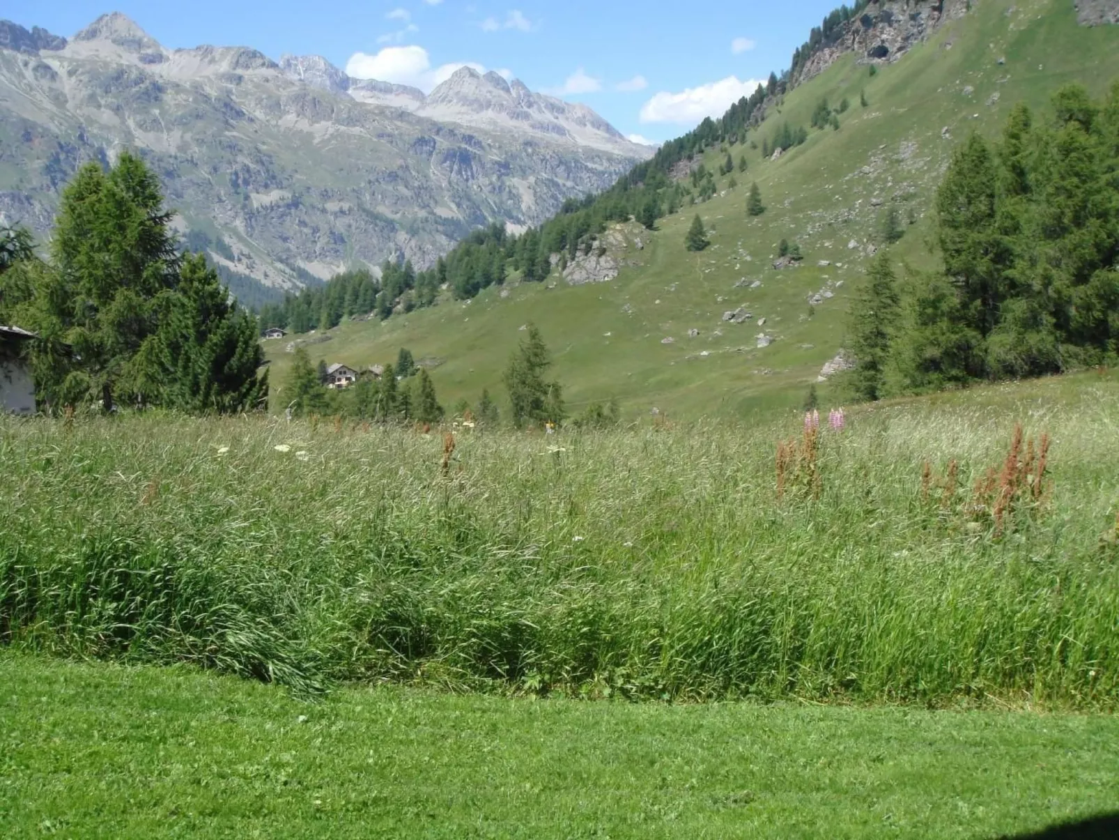 Chesa Fümm Fex-Buiten