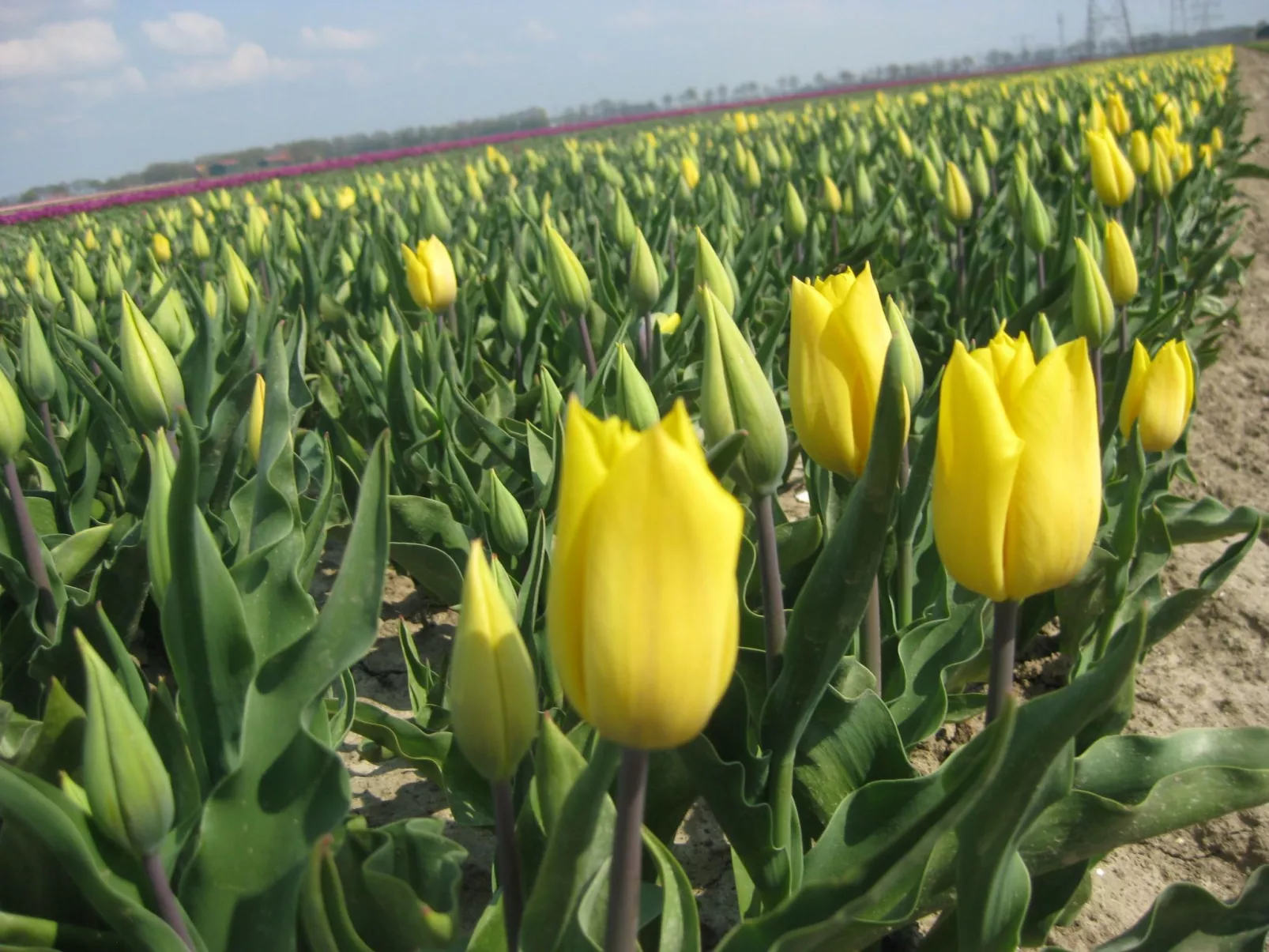 BeachPlace-Image-tags.info