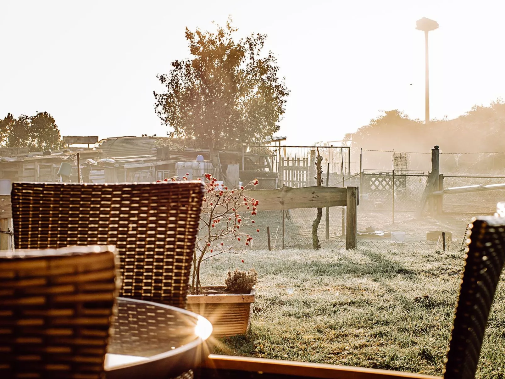 Appartement in Zinnowitz mit Grill-Buiten