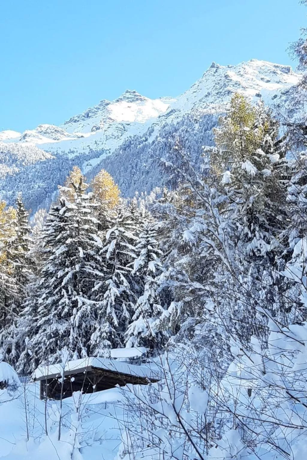 Schweiz Chalet,Grächen,St.Niklaus bis 10 Person-Buiten