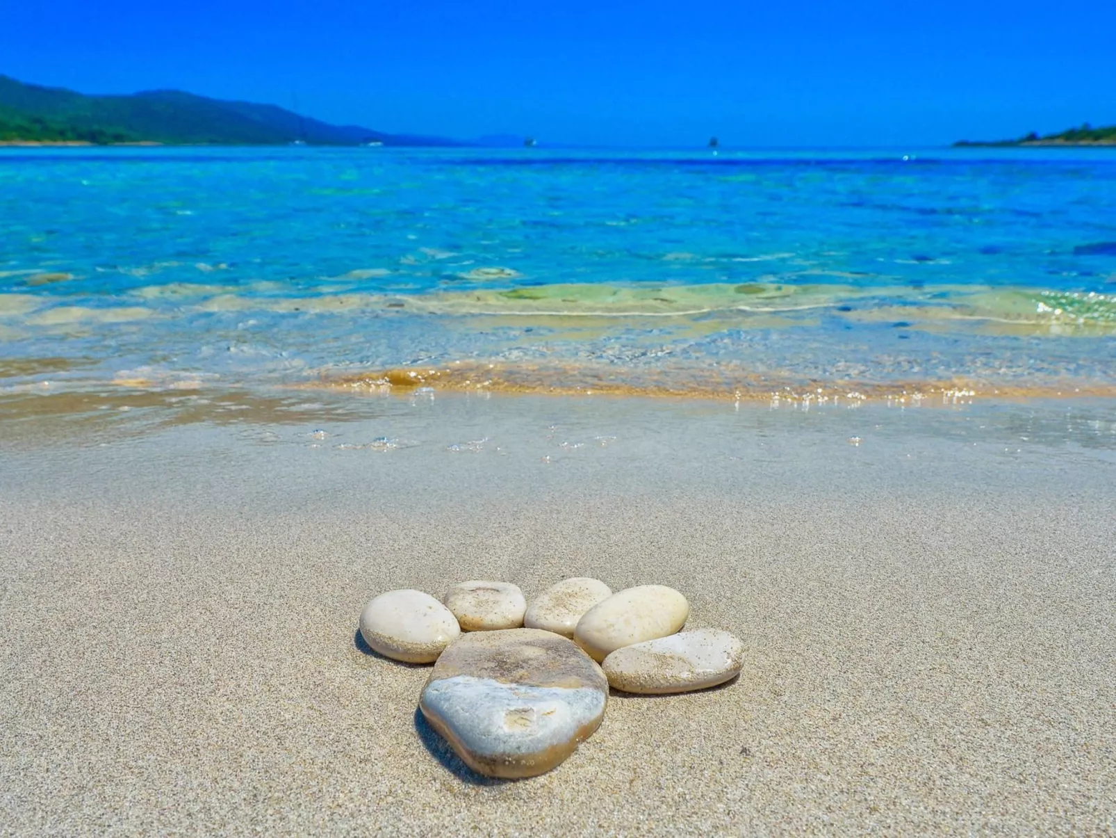 "Sakarun" mit Blick auf das Wasser-Buiten