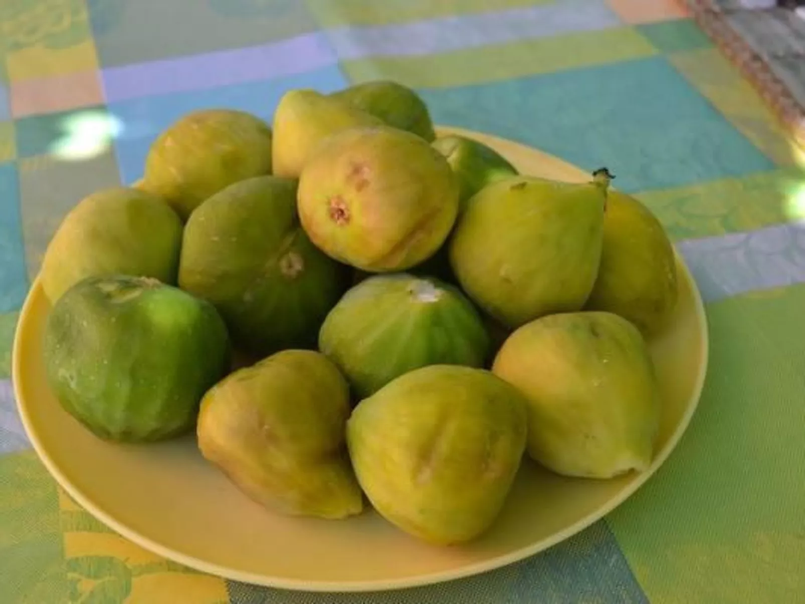 In Pula mit Grill, Terrasse und Garten-Binnen