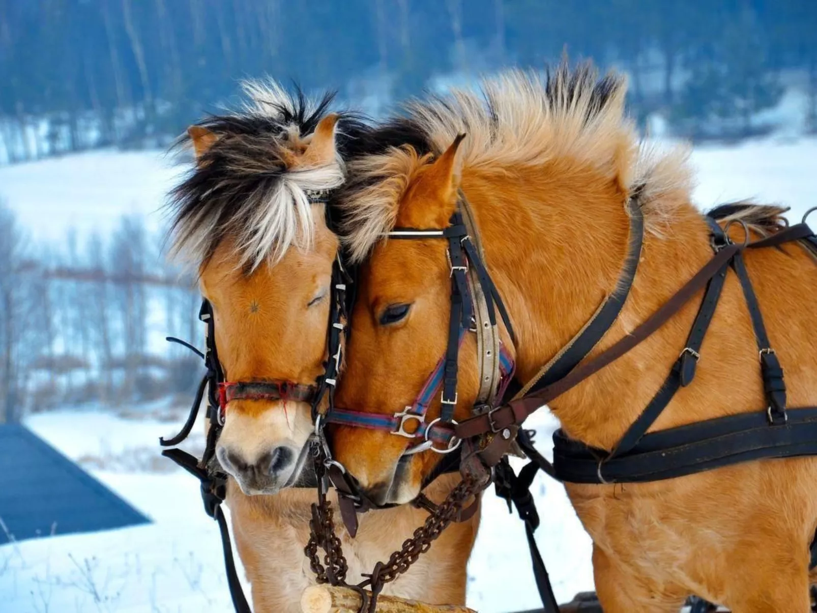 Mit Wasserblick-Buiten