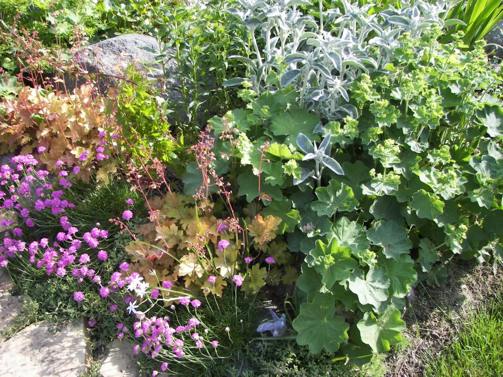 In ruhiger Lage am Waldrand-Image-tags.info