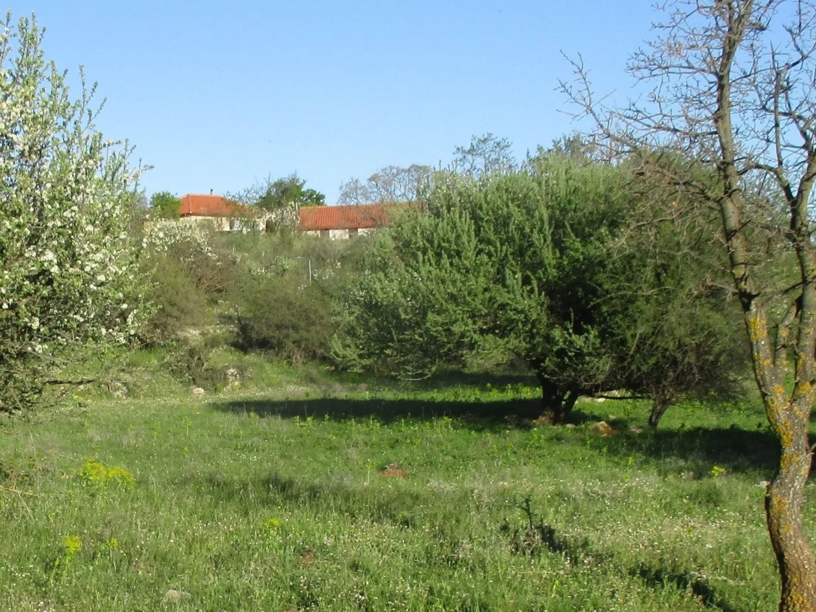 1249147 (copy)-Buiten