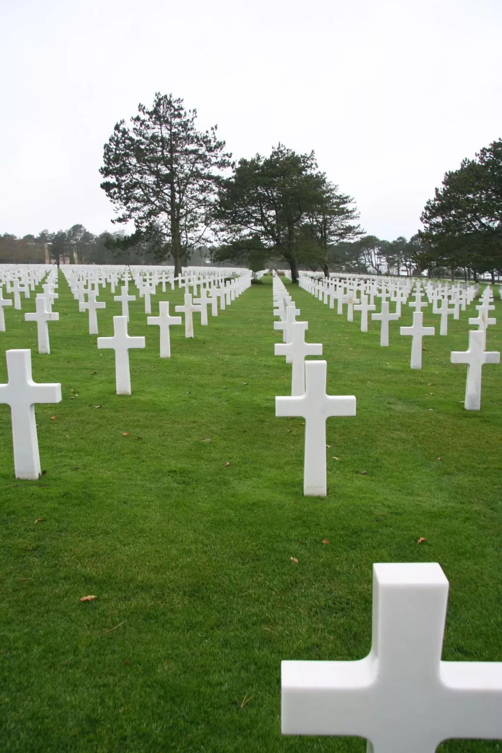 Wohnung "Le Caducée" mit Terrasse-Image-tags.info