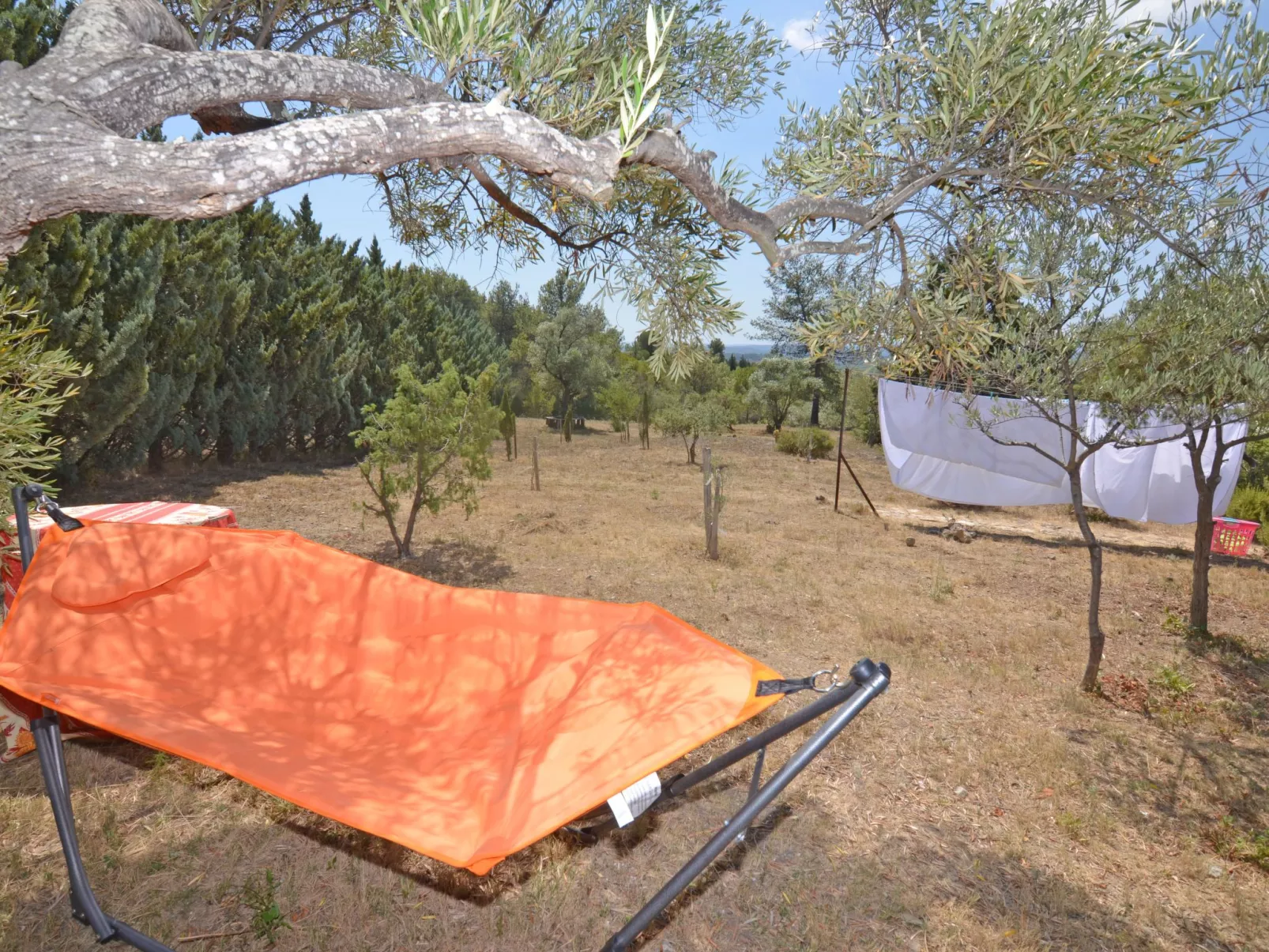 Die kleine Zikade-Buiten