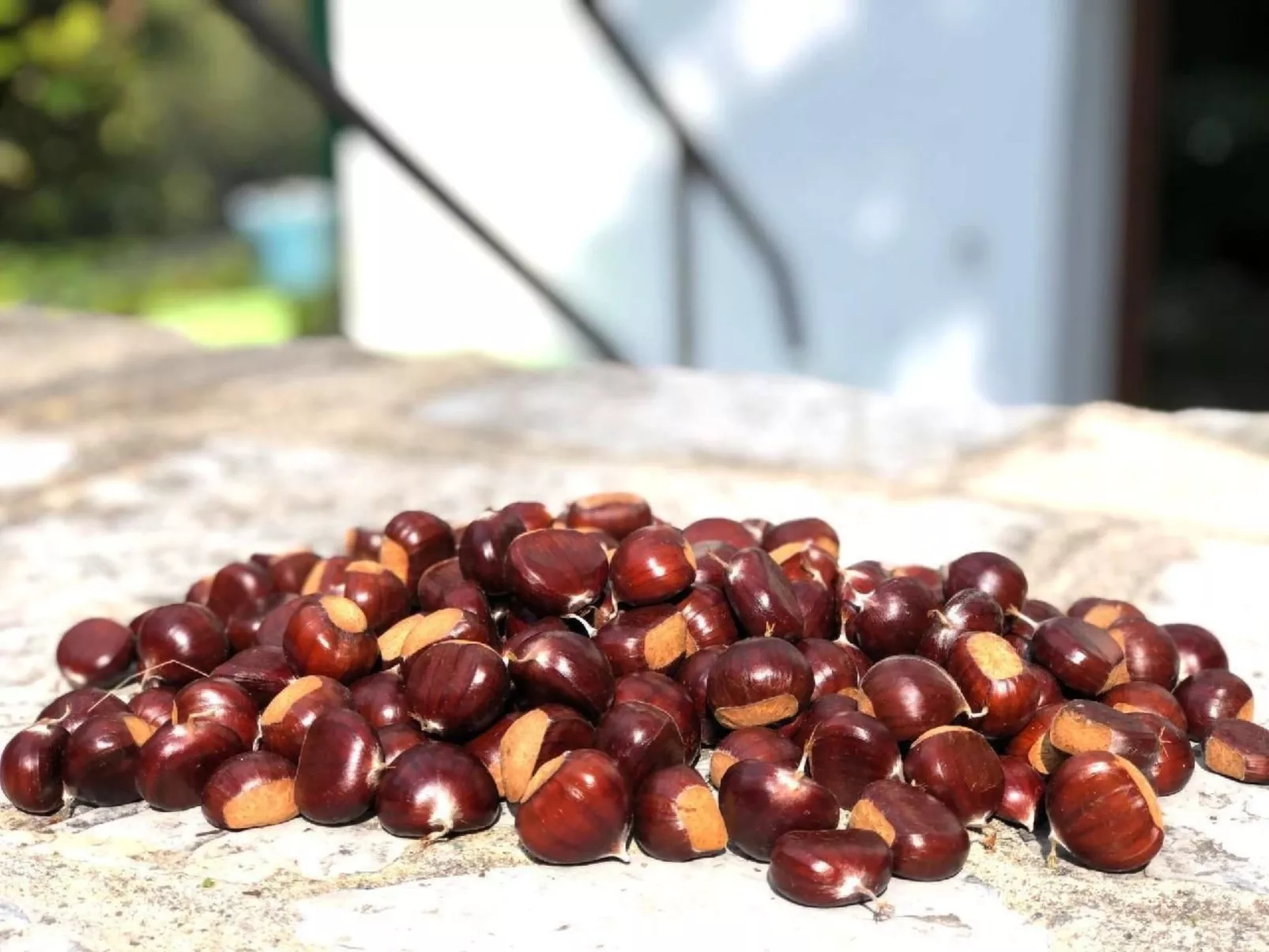 Mit Bergblick-Buiten