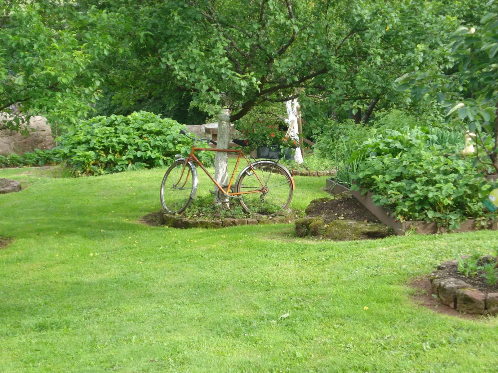 Das Gîte Fleuri mit einer herrlichen Aussicht-Buiten
