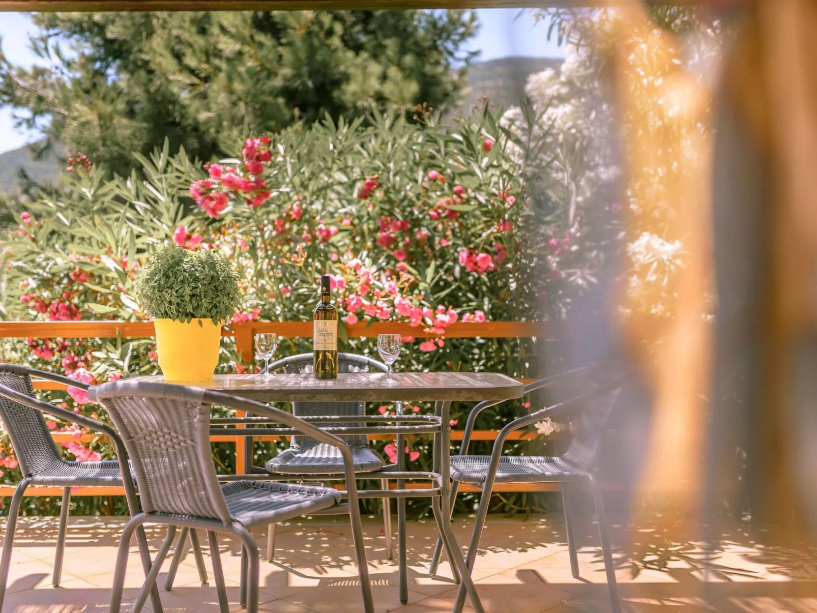 "Yellow Villa"-Buiten