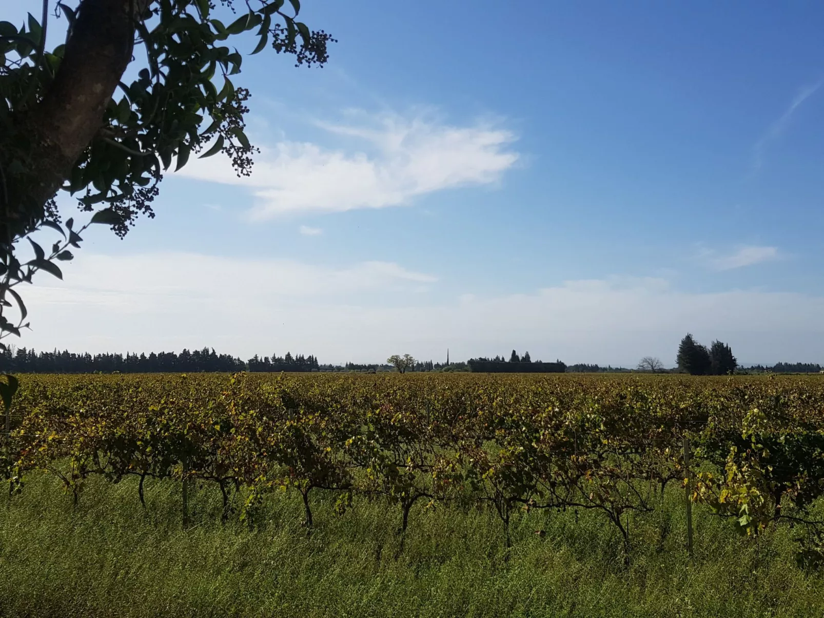 Charmantes Bauernhaus in der Provence-Buiten