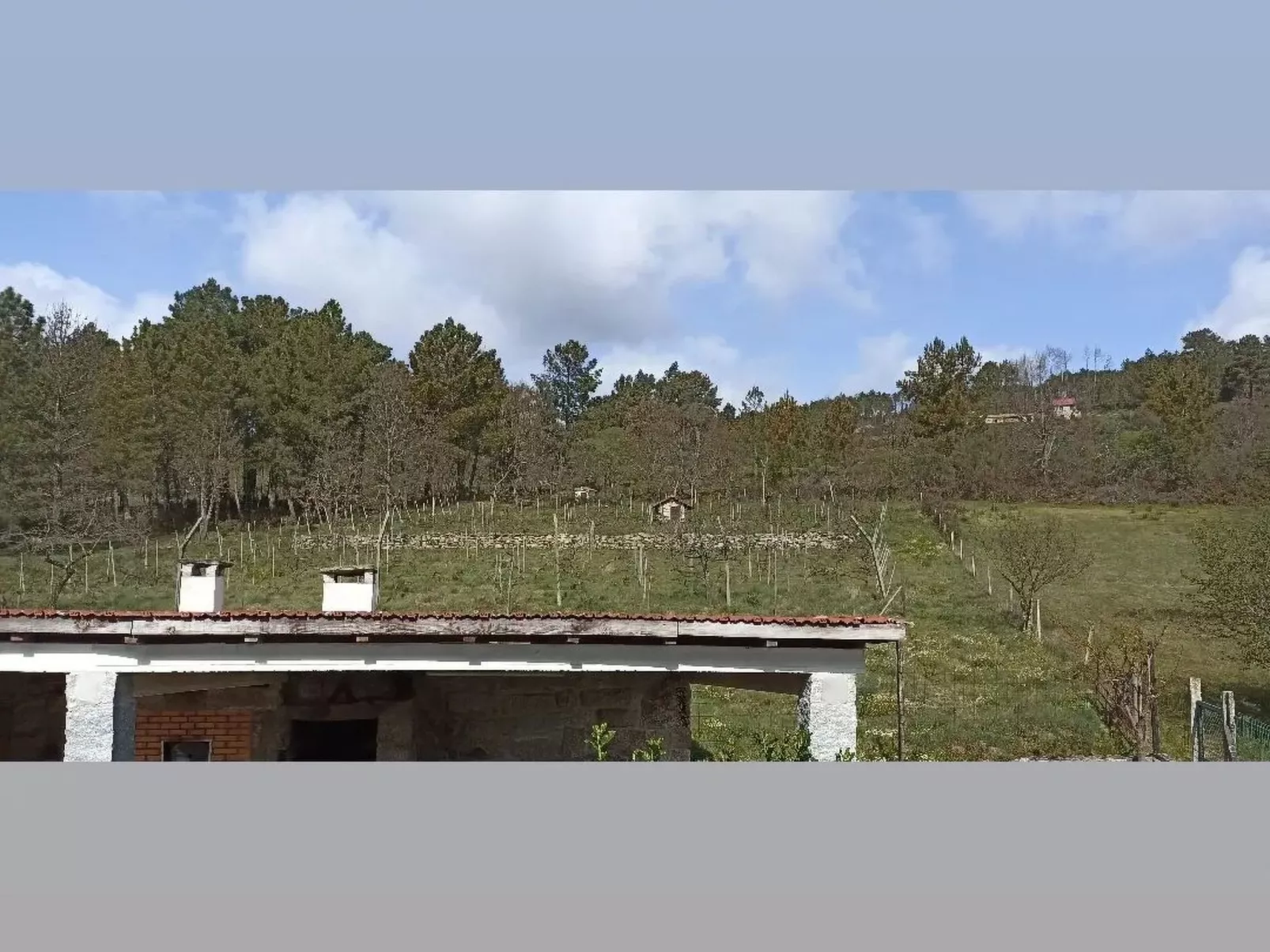 Ferien auf dem Bauernhof mit Weinberg-Buiten