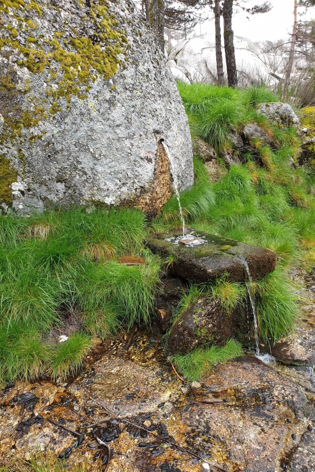 Ferienvilla "Casa Oriana" mit privatem Pool-Buiten