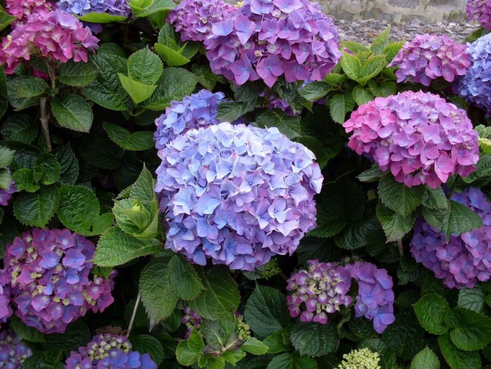 Maison du Moulin in Bauernhof-Image-tags.info