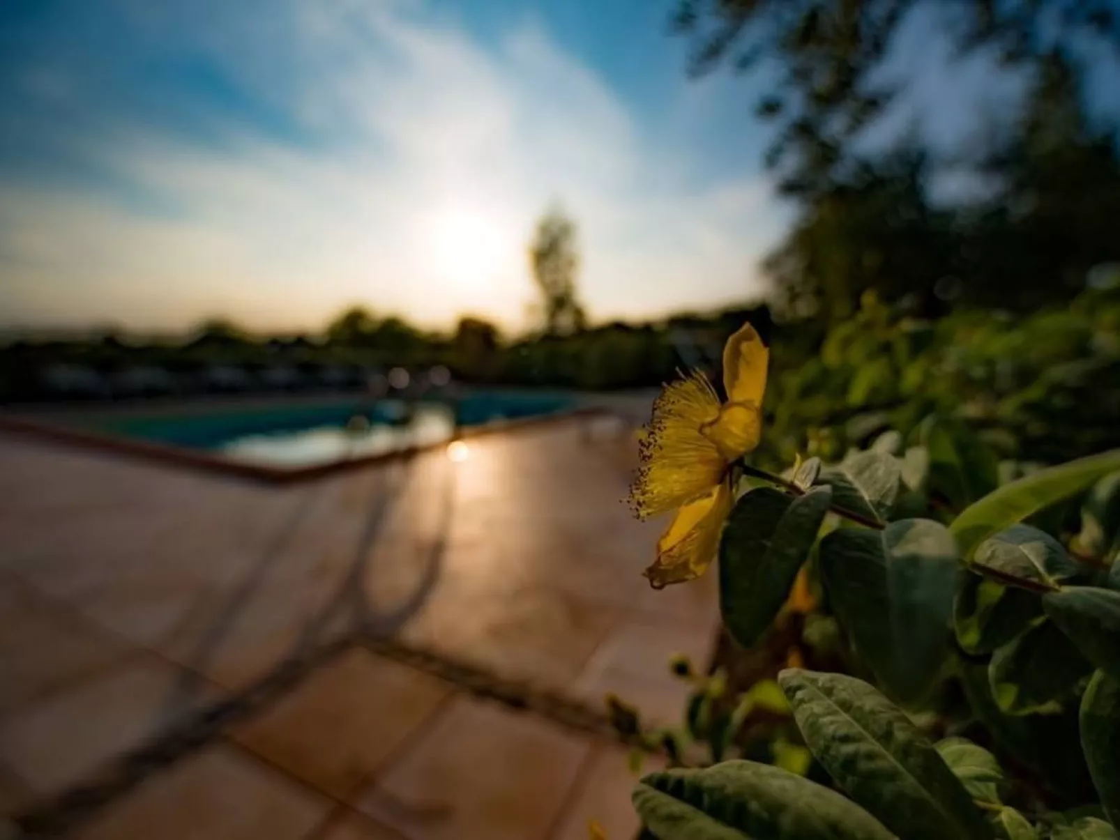 Villa mit Pool für 29 Personen ca. 800 m2-Buiten