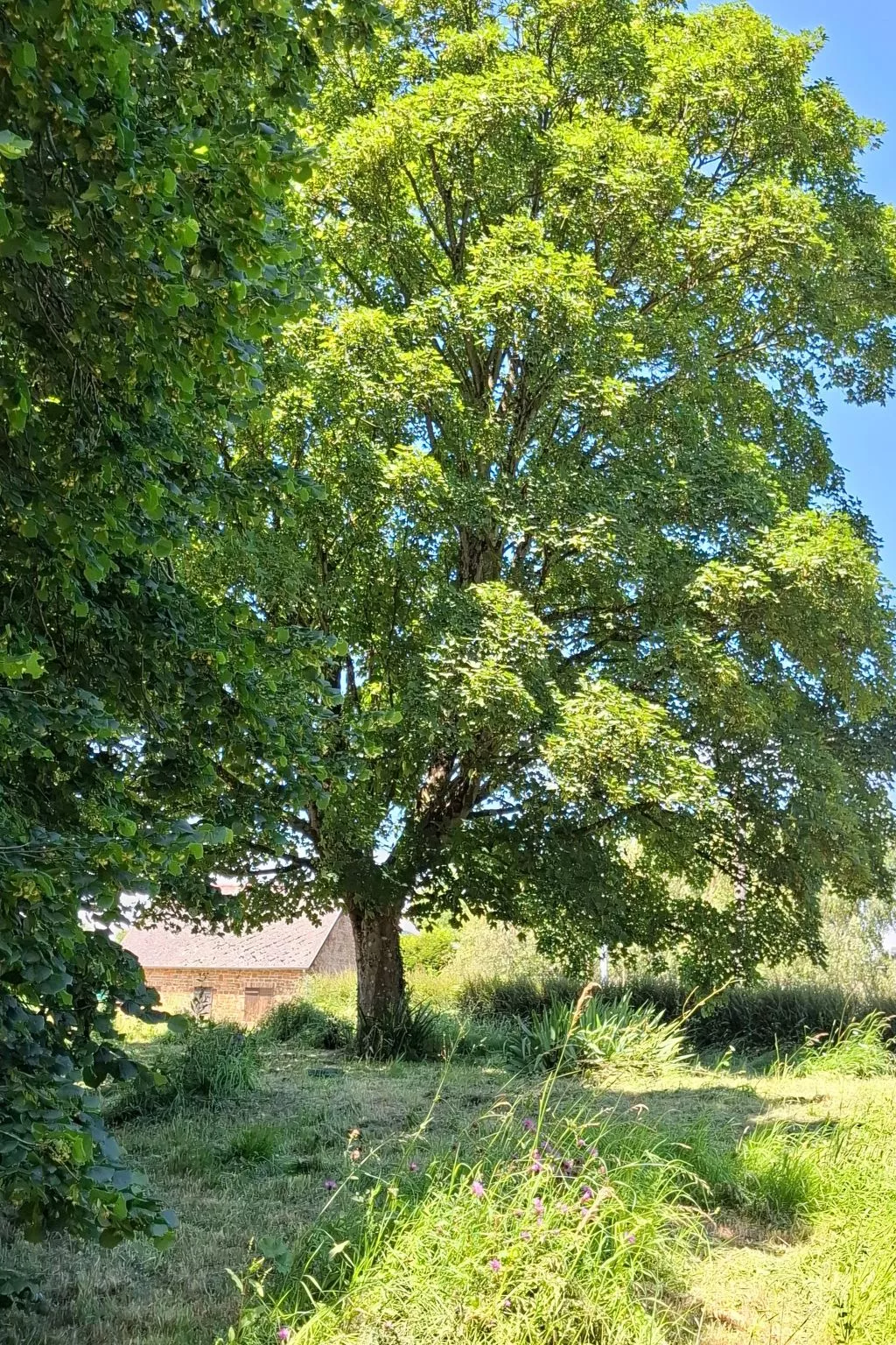 Le Bois aux Ecureuils (Eichhörnchenwald)-Buiten
