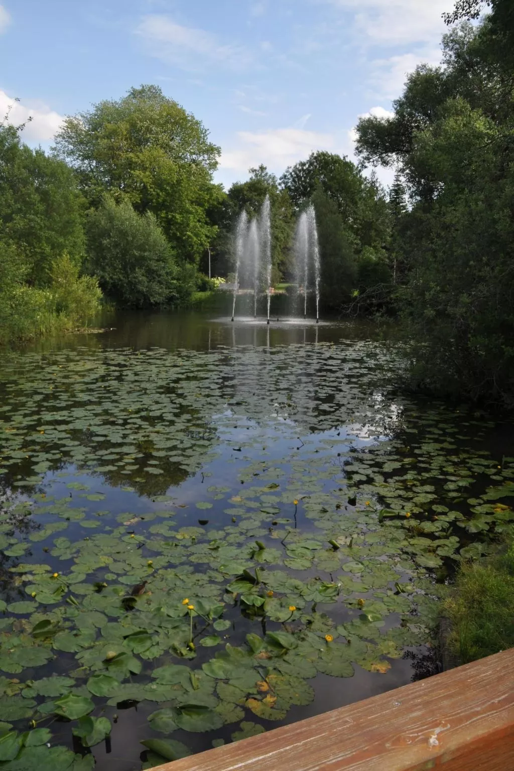Rosalie - Ruhig - Zentral - Hochwertig-Buiten
